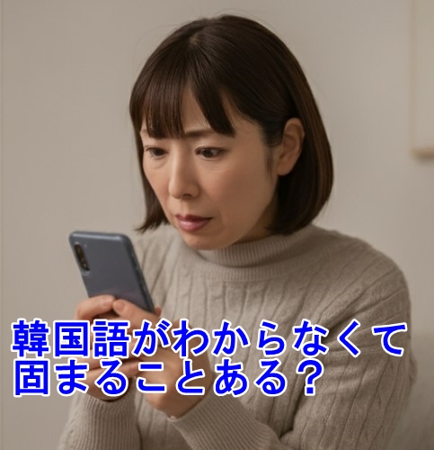 サジュナル（sajunaru）の日本語（ネイティブ）、日本語（初級）、韓国語（ネイティブ）の違い